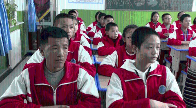 学习插花艺术